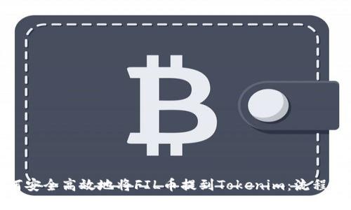 如何安全高效地将FIL币提到Tokenim：流程详解