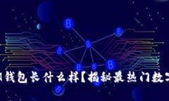 真的TokenTokenIM钱包长什么