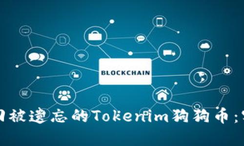 如何找回被遗忘的Tokenim狗狗币：实用指南