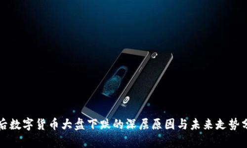 年后数字货币大盘下跌的深层原因与未来走势分析