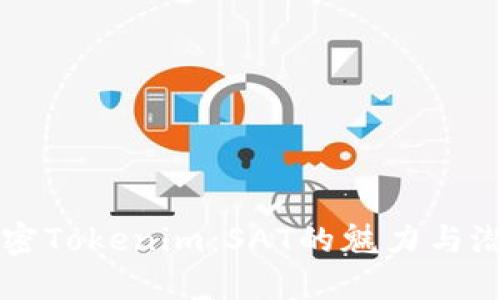 解密Tokenim：SAT的魅力与潜力