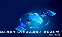 2023年数字货币人气龙头股