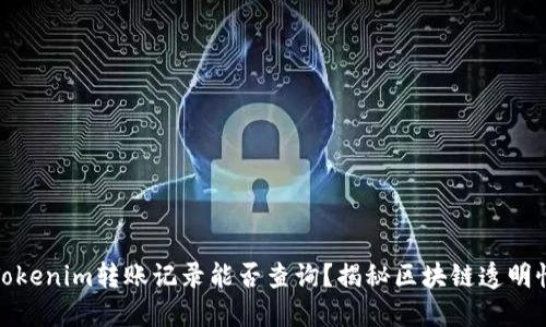 Tokenim转账记录能否查询？揭秘区块链透明性