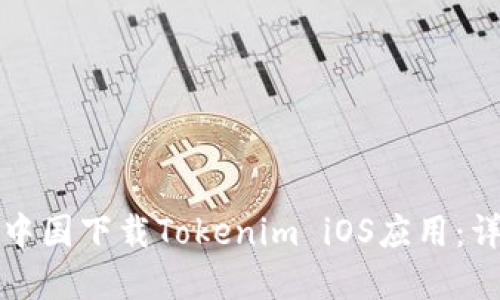 如何在中国下载Tokenim iOS应用：详细教程