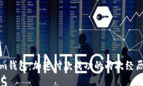 Tokenim钱包：加速付款成功的两次经历与反思