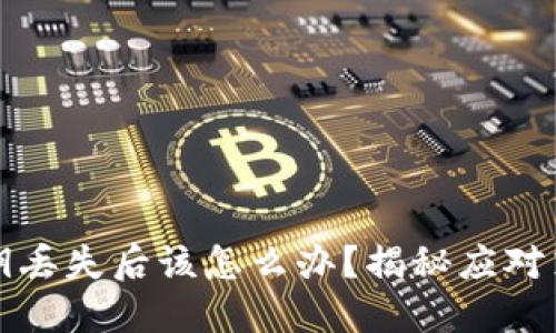 以太坊钱包私钥丢失后该怎么办？揭秘应对策略与补救措施