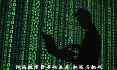 湖南数字货币的未来：机