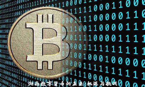 
湖南数字货币的未来：机遇与挑战