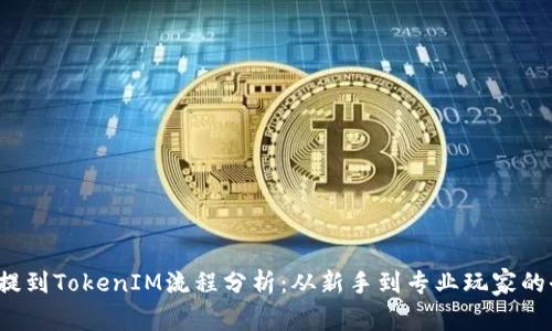 FIL币提到TokenIM流程分析：从新手到专业玩家的全攻略