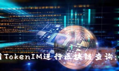 如何使用TokenIM进行区块链查询：全面指南