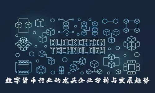数字货币行业的龙头企业分析与发展趋势
