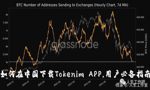 如何在中国下载Tokenim APP，用户必备指南