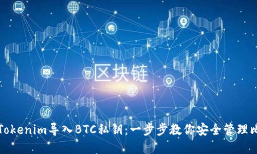 如何使用Tokenim导入BTC私钥：一步步教你安全管理比特币资产