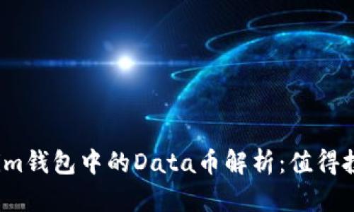 Tokenim钱包中的Data币解析：值得投资吗？