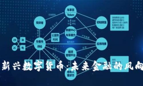 高新兴数字货币：未来金融的风向标