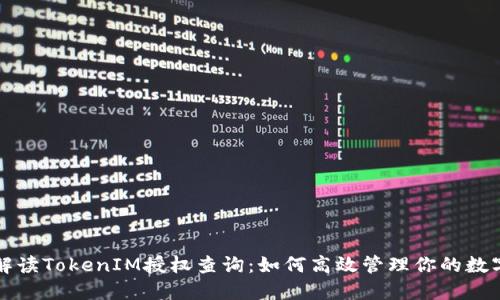 全面解读TokenIM授权查询：如何高效管理你的数字资产
