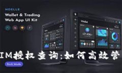 全面解读TokenIM授权查询：