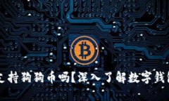 TokenTokenIM钱包支持狗狗币