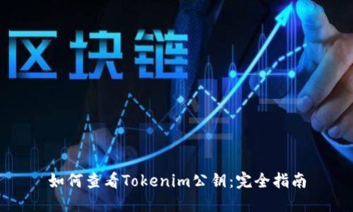 如何查看Tokenim公钥：完全指南