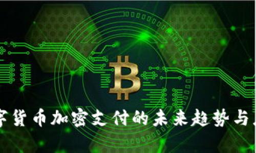 虚拟数字货币加密支付的未来趋势与应用解析