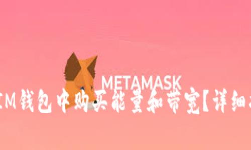 如何在TokenTokenIM钱包中购买能量和带宽？详细指南与常见问题解析