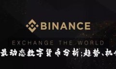 2023年币圈最动态数字货币