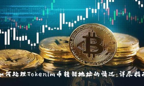 如何处理Tokenim币转错地址的情况：详尽指南