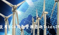 如何使用BCH钱包管理您的