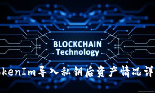 TokenIm导入私钥后资产情况详解