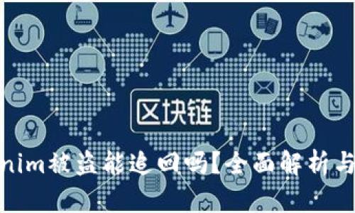 Tokenim被盗能追回吗？全面解析与建议