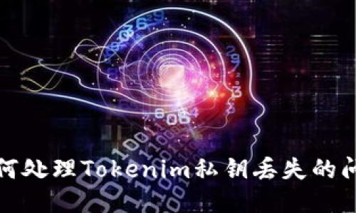 如何处理Tokenim私钥丢失的问题