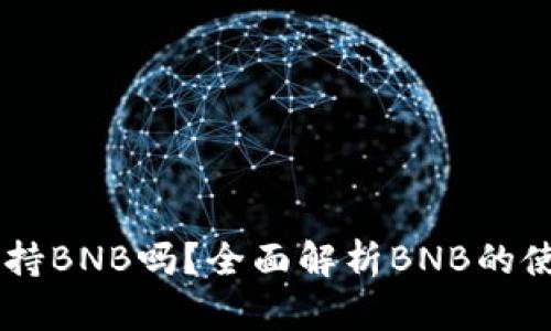 ### TokenIM支持BNB吗？全面解析BNB的使用与TokenIM平台