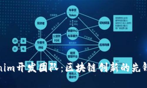 Tokenim开发团队：区块链创新的先锋力量