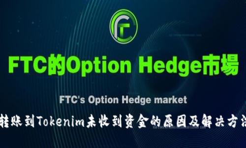 转账到Tokenim未收到资金的原因及解决方法