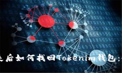 手机丢失后如何找回Tokenim钱包：全面指南