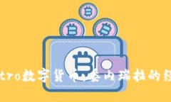 深入探索Petro数字货币：委