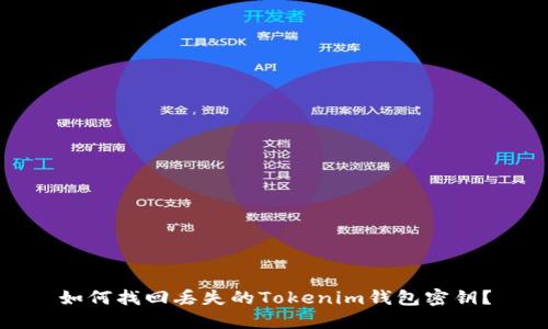 如何找回丢失的Tokenim钱包密钥？