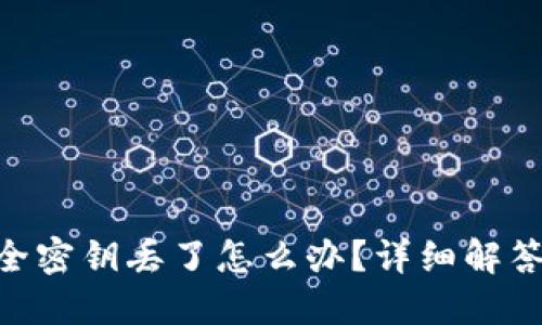 Tokenim安全密钥丢了怎么办？详细解答与解决方案