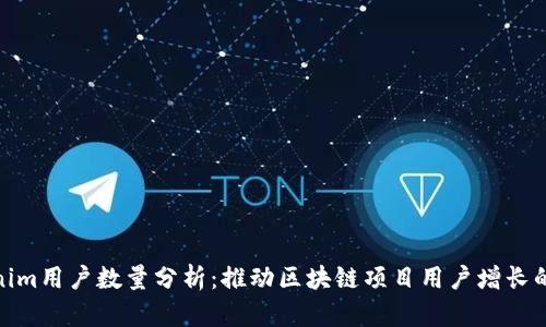 Tokenim用户数量分析：推动区块链项目用户增长的策略