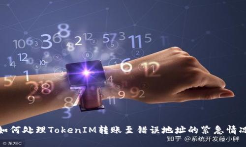 如何处理TokenIM转账至错误地址的紧急情况