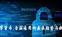 数字货币：全国通用的未