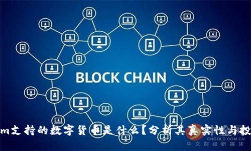 Tokenim支持的数字货币是什么？分析其真实性与投资风险