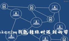 如何解决Tokenim钱包转账时