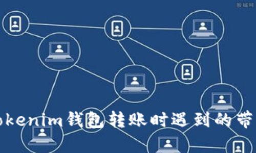 如何解决Tokenim钱包转账时遇到的带宽不足问题