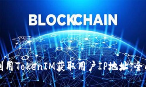 如何利用TokenIM获取用户IP地址：全面指南