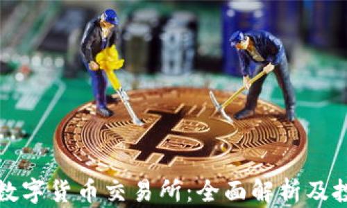 
新西兰数字货币交易所：全面解析及投资策略