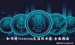 如何将Tokenim充值到币安：