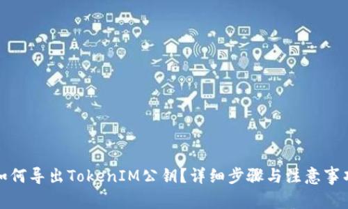 如何导出TokenIM公钥？详细步骤与注意事项