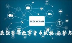 探索最强势的数字货币板