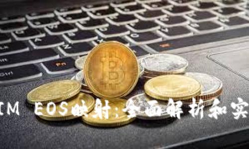 TokenIM EOS映射：全面解析和实操指南